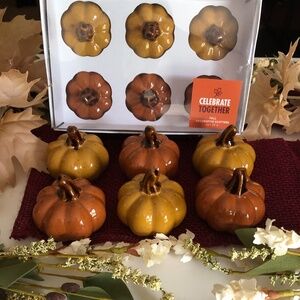 Ceramic Pumpkins Thanksgiving Fall Halloween Decor CenterpiecesnNEW set of 6